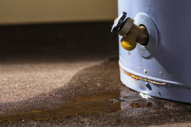 Best Flood damage cleanup  in Balfour, NC