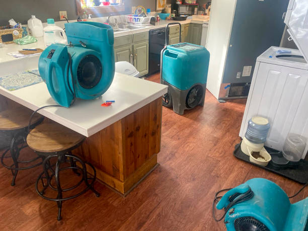 Best Water damage repair service  in Balfour, NC