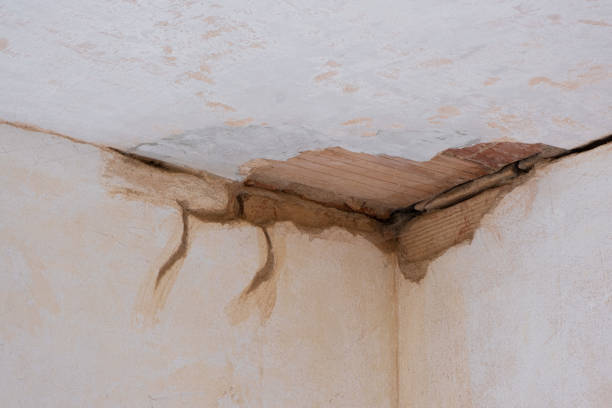 Best Water damage restoration process  in Balfour, NC