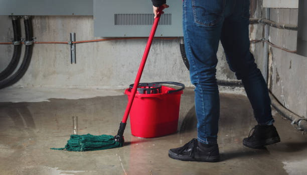 Best Residential water damage restoration  in Balfour, NC