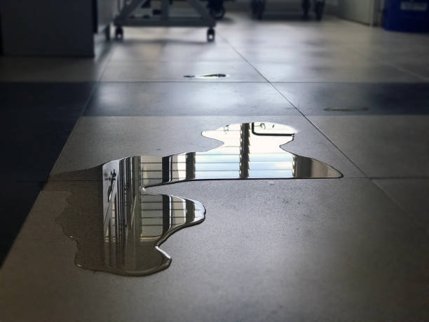 Best 24-hour water damage restoration  in Balfour, NC