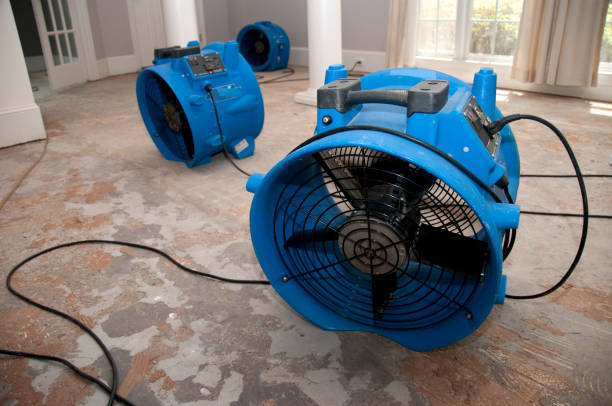 Best Residential water damage restoration  in Balfour, NC