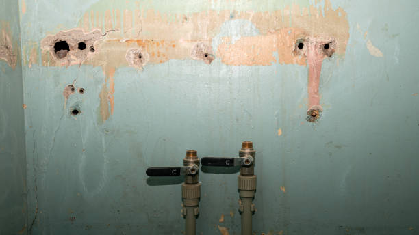 Best Carpet water damage restoration  in Balfour, NC