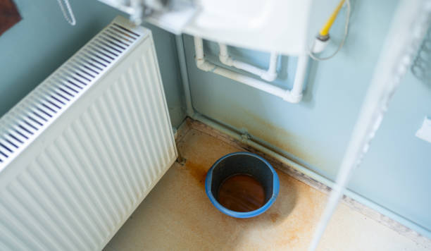 Best Ceiling water damage repair  in Balfour, NC